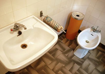 رجل يتفاجأ بأسد في منزله