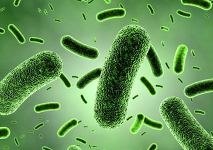 نصائح لحماية نفسك من الجراثيم والبكتيريا