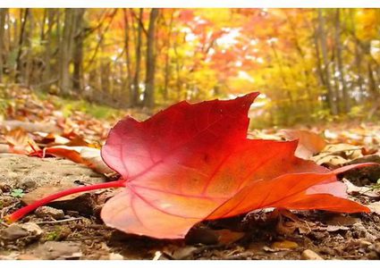 الصيف يُقاوم والخريف يبدأ بعد أسبوع