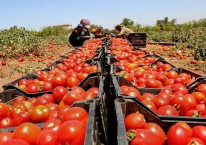 "الزراعة": قرار وقف استيراد 9 منتجات من "اسرائيل" قديم