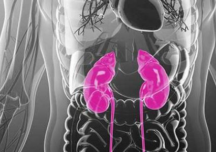 أبرز أعراض التهاب الكلى