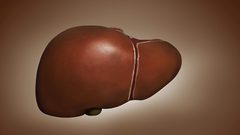 اكتشاف سبب مرض غير معروف في الكبد