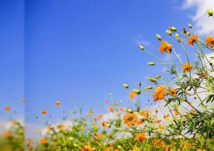 الطقس: اجواء غائمة جزئياً والحرارة حول معدلها السنوي العام