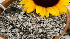 ما هي أبرز فوائد بذور دوار الشمس للبشرة ؟