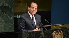 السيسي يُؤكّد: نحتاج إلى قرارات جريئة تعيد الحق للفلسطينيين