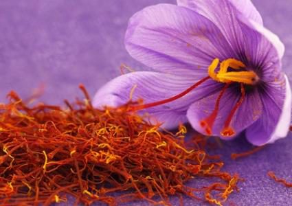 تعرفوا على الفوائد الصحية العديدة للزعفران