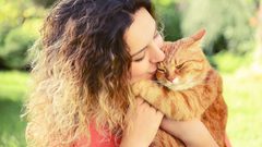 القطط وفية تماماً كما الكلاب