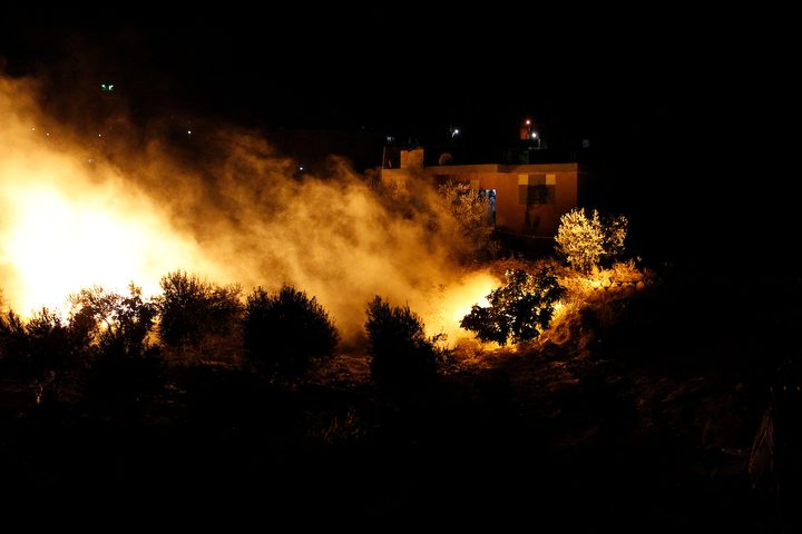 الدفاع المدني: احتراق 55 شجرة زيتون بمناطق متفرقة غرب جنين