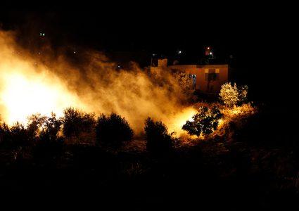 الدفاع المدني: احتراق 55 شجرة زيتون بمناطق متفرقة غرب جنين