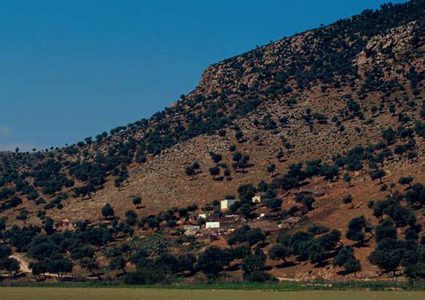 إشهار كتاب "الدليل الحقلي للتنوع الحيوي في جبال فقوعة"