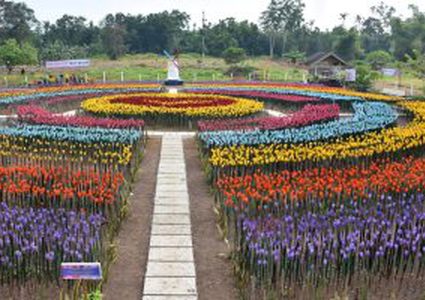 الفلبين.. مدينة تحول مخلفات العبوات البلاستيكية إلى حديقة زهور