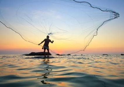 صيادون يضحون بسمكة تونه ضخمة تقدر قيمتها 3 ملايين دولار!