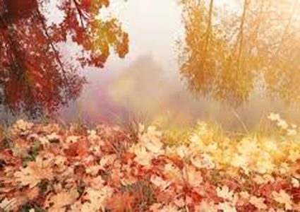 أهم النصائح للتخلص من اكتئاب فصل الخريف