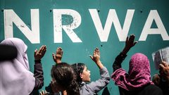 مختص: الحراك الداعم للأونروا غير مسبوق منذ تأسيسها