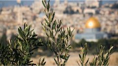 القاهرة تستضيف مؤتمرا للاستثمار في فلسطين