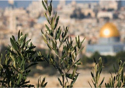 القاهرة تستضيف مؤتمرا للاستثمار في فلسطين