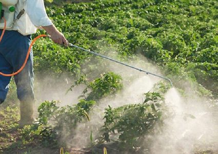 التعرض للمبيدات بكثرة يزيد من خطر الأزمات القلبية