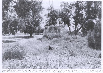 قرية الفالوجة- قضاء غزة