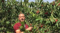 الأسير العربيد في حالة خطيرة بسبب تعذيب "الشاباك"