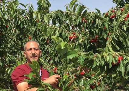 الأسير العربيد في حالة خطيرة بسبب تعذيب "الشاباك"