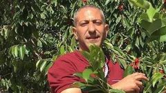 الصحة تطالب الصليب الأحمر بالضغط على إسرائيل لزيارة طاقم طبي