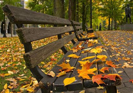 أجواء خريفية لطيفة