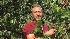 تحسن الوضع الصحي للأسير عربيد واستئناف التحقيق قريباً