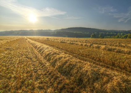 ما هي أهمية تعرض كبار السن لأشعة الشمس ؟