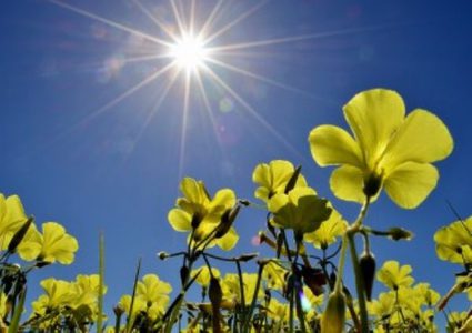 أجواء صافية وانخفاض على درجات الحرارة