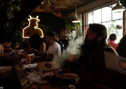 أمريكا.. افتتاح أول مقهى متخصص في تدخين الحشيش بكل أنواعه