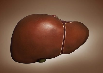 هذه خطورة "الفركتوز" على صحة الكبد