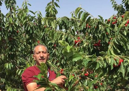 هيئة الأسرى: ما حدث مع الاسير العربيد جريمة مركبة