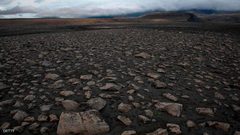 زلزالان على المريخ بعد فيديو من ناسا