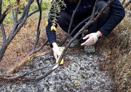 "كرة نارية" غامضة تجتاح سماء تشيلي