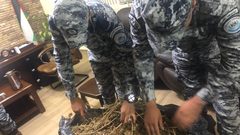 الضابطة الجمركية تضبط 2 كغم "مارجوانا" في طولكرم