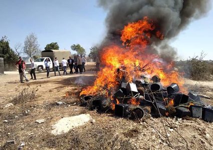 وقائي الخليل يفسد مشتلاً للمخدرات بقيمة 80 مليون شيكل