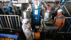 خلال عملية عصر الزيتون وتعبئته بمعصرة في دير البلح وسط قطاع غزة.