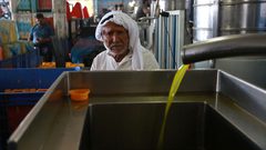 خلال عملية عصر الزيتون وتعبئته بمعصرة في دير البلح وسط قطاع غزة.