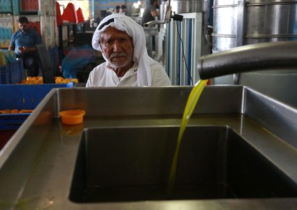 خلال عملية عصر الزيتون وتعبئته بمعصرة في دير البلح وسط قطاع غزة.