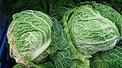 أسباب تدفعك لتناول الملفوف بشكل يومي