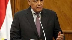 مصر تدعو لاجتماع طارئ ردا على "العدوان التركي" على سوريا