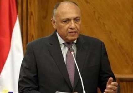 مصر تدعو لاجتماع طارئ ردا على "العدوان التركي" على سوريا