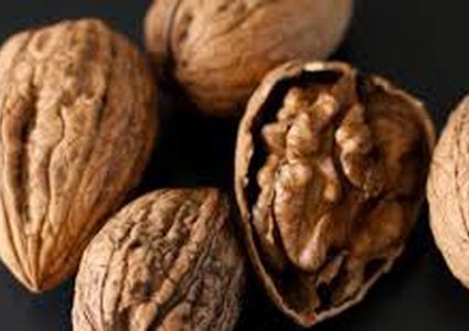 دراسة: جوز عين الجمل يجنبك الإصابة بالعديد من الأمراض الخطيرة