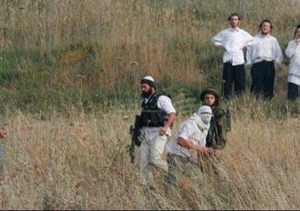 تقرير: ارتفاع وتيرة اعتداءات المستوطنين على قاطفي الزيتون