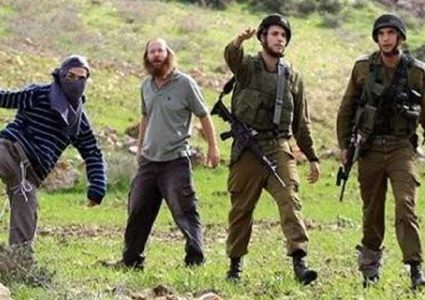 "الخارجية" تدعو لفتح تحقيق في جرائم الاحتلال