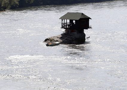 دعوات لقتل وتجميد كائن بحري سام