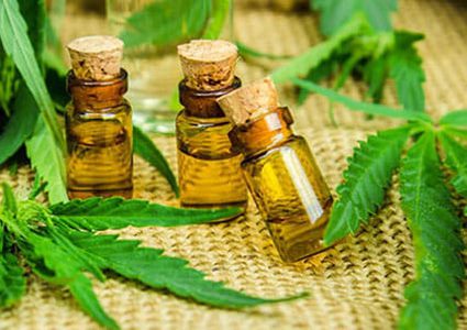 دراسة: زيت القنب يفتك بالبكتيريا المقاومة للمضادات الحيوية