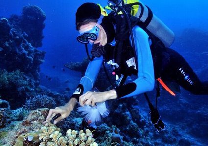 اكتشاف علاج مرض السل في قاع البحر