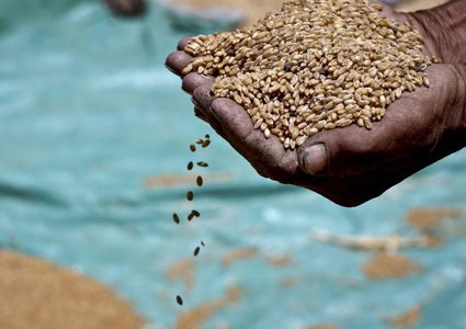 رام الله: انطلاق مؤتمر السيادة على الغذاء