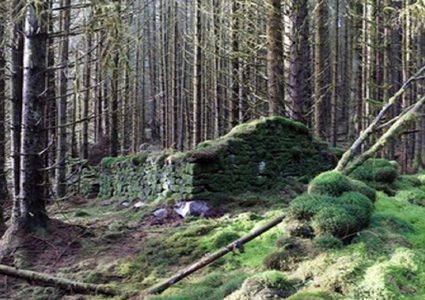 كشف سر بنايات قديمة في غابات اسكتلندا